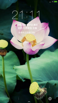 莲（动态下雨锁屏）