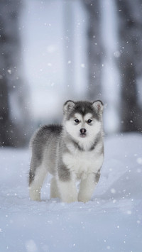 shutterstock_1666316569