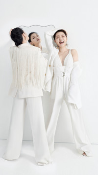 大S&amp;小S