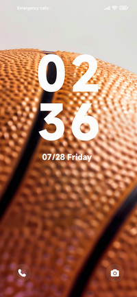 big basketball