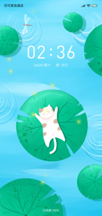 肥猫的梦想