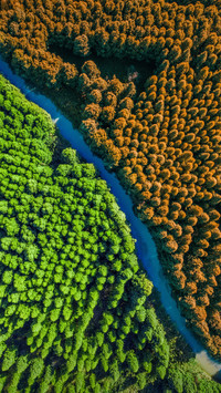 Why are natural rivers curved 90