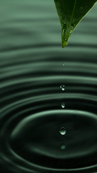 Beginner Macro Tips 1