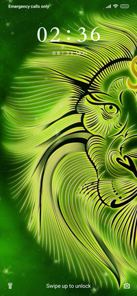 Lion Art_3MDS