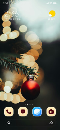 Spider Ornament