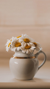Vase with camomiles on a table background