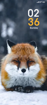 Fox