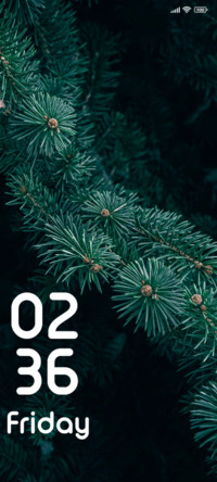 Pine tree