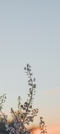 小小天空