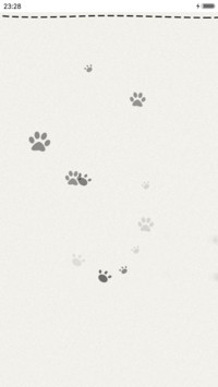 波斯猫《简约版》