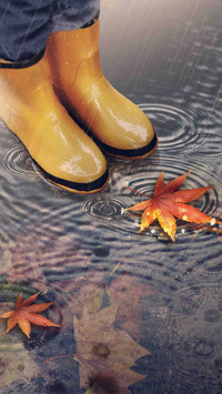Guidelines for self rescue and risk avoidance in autumn floo