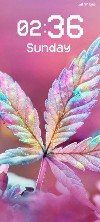 Pink Flower