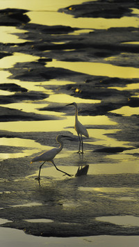 Visit Heron world 05