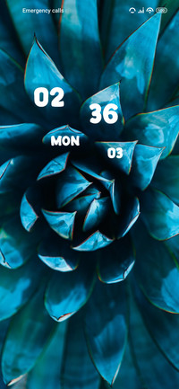 Flower Crystal