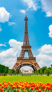 Eiffel Tower and spring tulips on Field of Mars