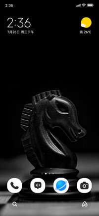 Black Idol