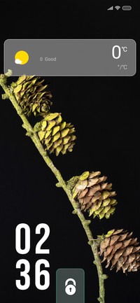Pine Trips