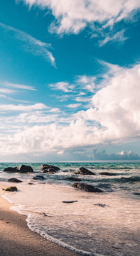 Beauty of Earth (15)