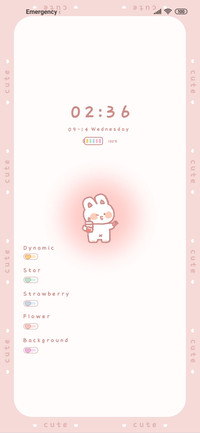 cute bunny