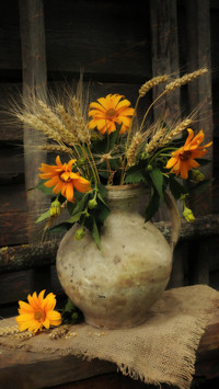 Dont plant flowers in these places in summer 5