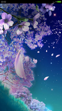 最美的夜