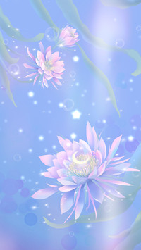 Epiphyllum and starlight are beautiful