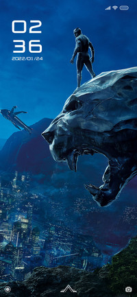 Black panther pro