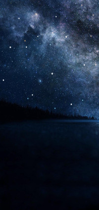 星辰满天星