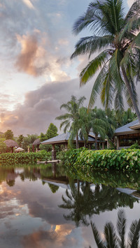 International-village