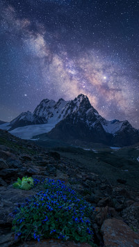 Snow mountain glacier and high mountain snow lotus