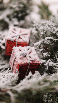 Winter scenery-01