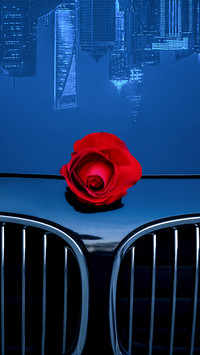 The reflection of urban buildings and roses on the car