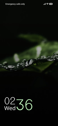 Silver Gleam