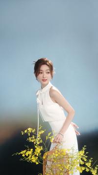 不愧是温婉佳人