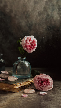 Pink roses and rose petals on an old book, vintage photo