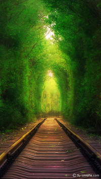 LovePik-scenery (1)
