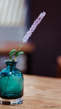 LovePik-lifestyle (1)