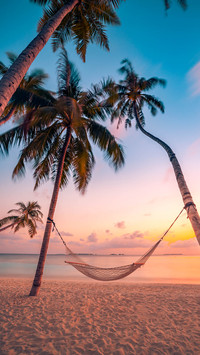 Hammock on palm trees on tropical beach paradise at sunset