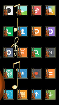  IN violin