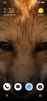 Amber Gaze