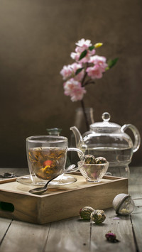 聆听茶语