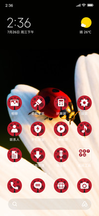 Ladybug_3MDS