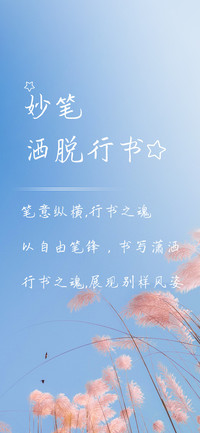 妙笔洒脱行书