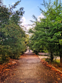 Russain Fall