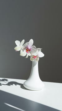 A white vase displays a white bouquet of flowers