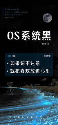 OS系统黑