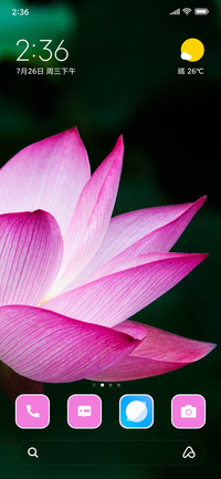Pink Flower