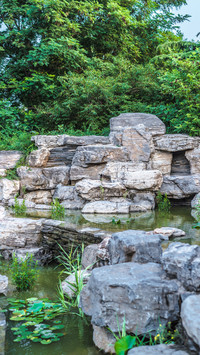 The rockery with its overlapping shadows exudes a serene