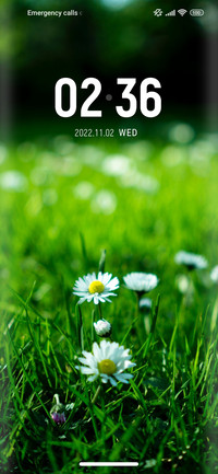 Flower_blue