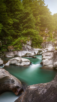 Italian forest rocks